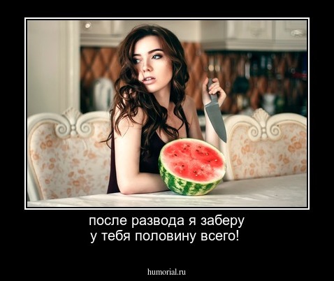 после развода я заберу у тебя половину всего!