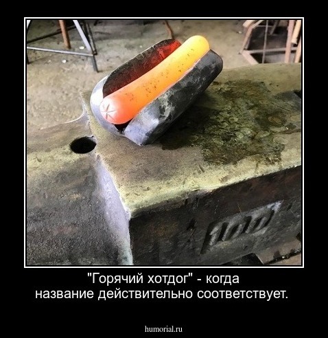 "Горячий хотдог" - когда название действительно соответствует.