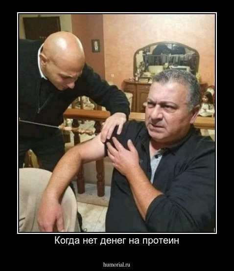 Когда нет денег на протеин