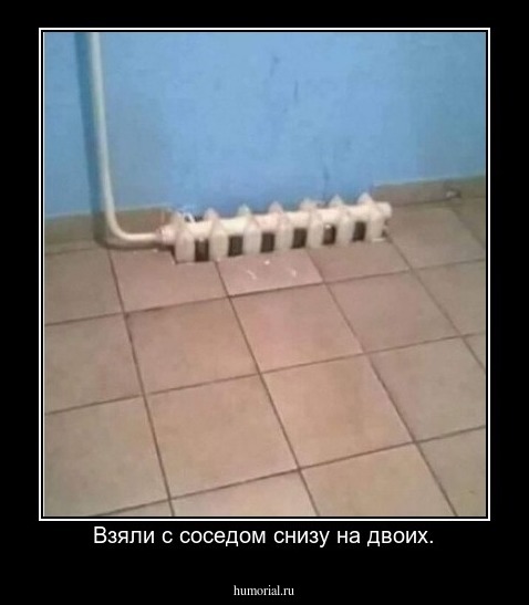 Взяли с соседом снизу на двоих.