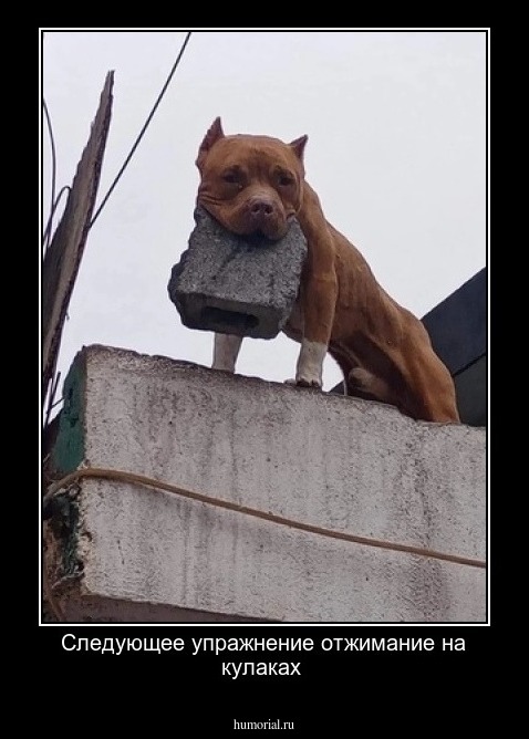 Следующее упражнение отжимание на кулаках