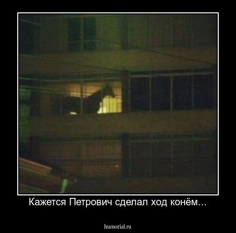 Кажется Петрович сделал ход конём...