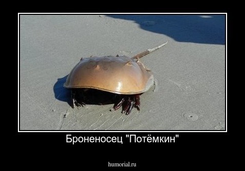 Броненосец "Потёмкин"