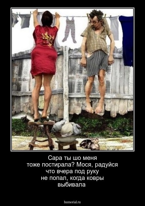 Сара ты шо меня тоже постирала? Мося, радуйся что вчера под руку не попал, когда ковры выбивала