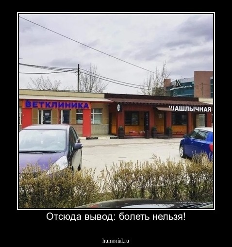 Отсюда вывод: болеть нельзя!
