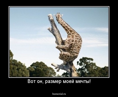 Вот он, размер моей мечты!