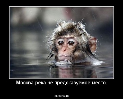 Москва река не предсказуемое место.