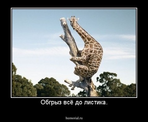 Обгрыз всё до листика.