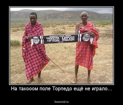 На такооом поле Торпедо ещё не играло...