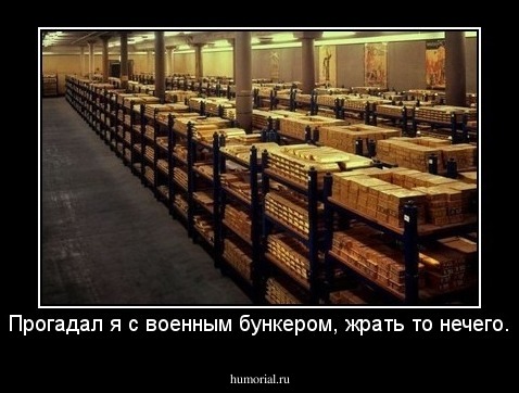 Прогадал я с военным бункером, жрать то нечего.
