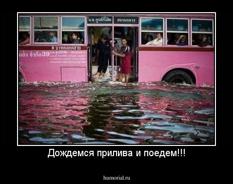 Дождемся прилива и поедем!!!