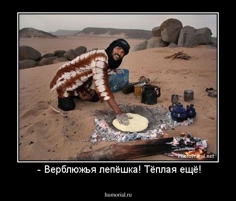  - Верблюжья лепёшка! Тёплая ещё!