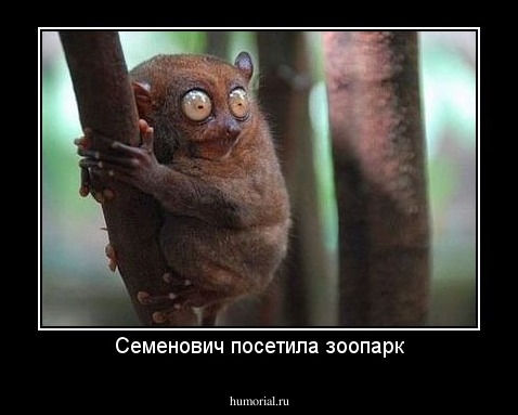 Семенович посетила зоопарк