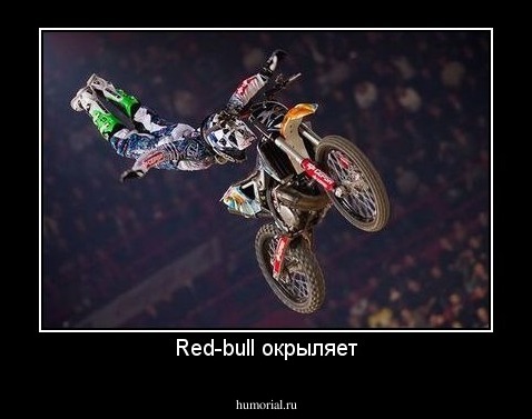 Red-bull окрыляет