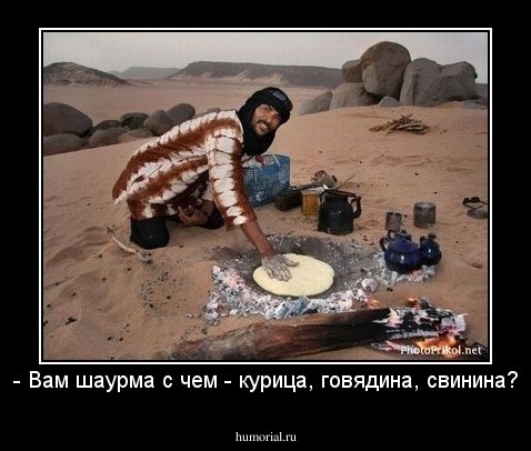 - Вам шаурма с чем - курица, говядина, свинина?