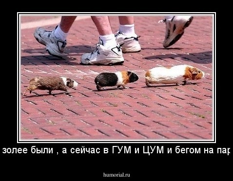 В Мавзолее были , а сейчас в ГУМ и ЦУМ и бегом на пароход !