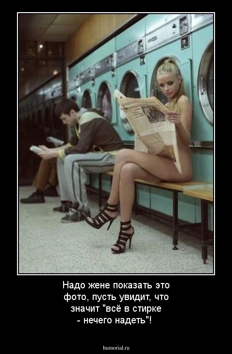 Надо жене показать это фото, пусть увидит, что значит "всё в стирке - нечего надеть"!