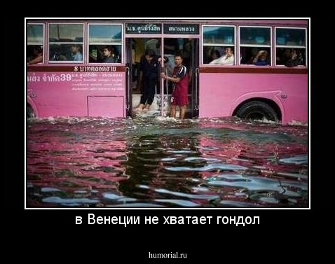 в Венеции не хватает гондол
