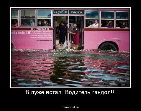 В луже встал. Водитель гандол!!!
