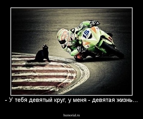 - У тебя девятый круг, у меня - девятая жизнь...