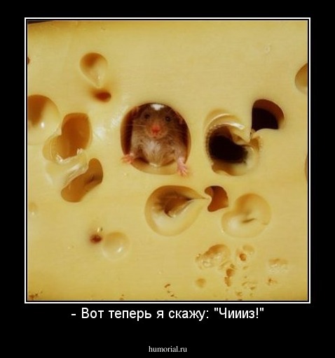 - Вот теперь я скажу: "Чиииз!"