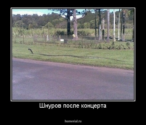 Шнуров после концерта