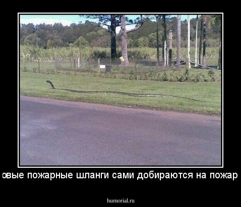 Новые пожарные шланги сами добираются на пожар!!!