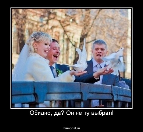 Обидно, да? Он не ту выбрал!