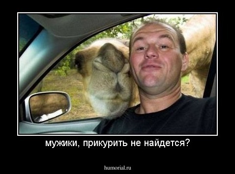 мужики, прикурить не найдется?