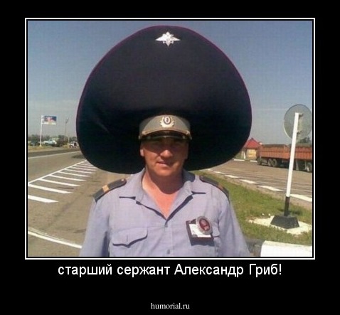 старший сержант Александр Гриб!