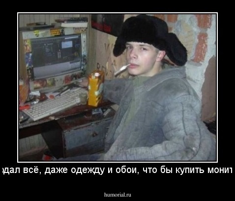 продал всё, даже одежду и обои, что бы купить монитор.