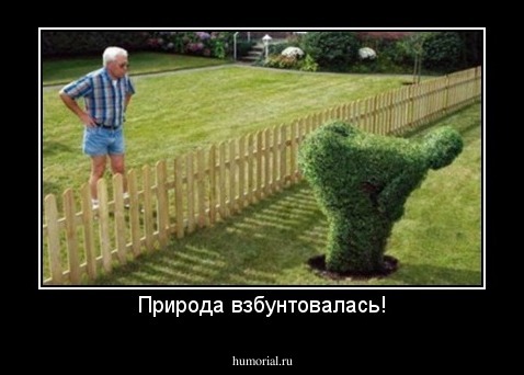 Природа взбунтовалась!