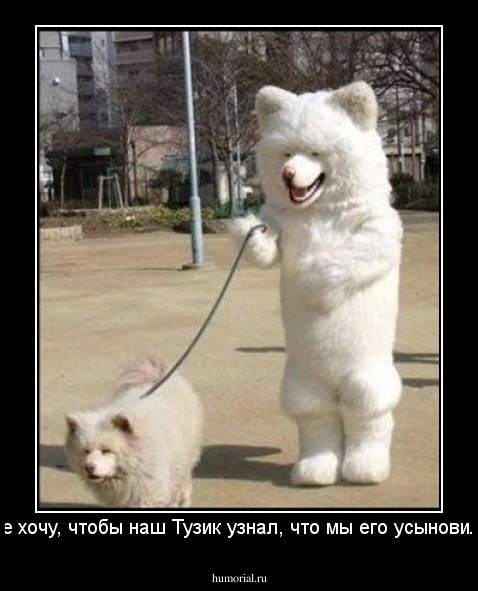 Не хочу, чтобы наш Тузик узнал, что мы его усыновили