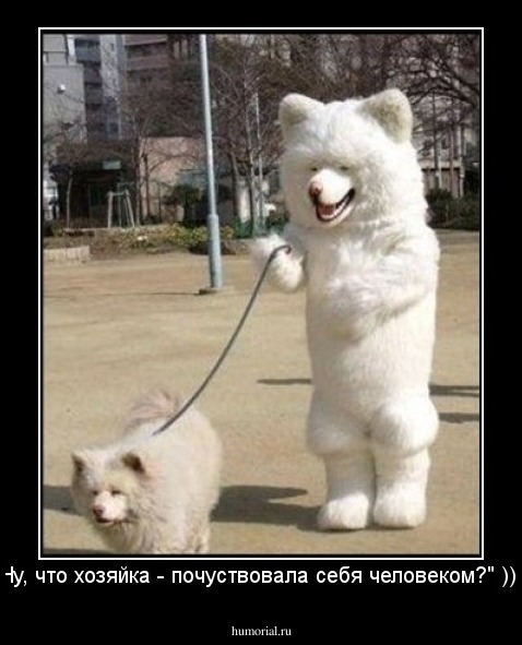 Ну, что хозяйка - почуствовала себя человеком?" )))