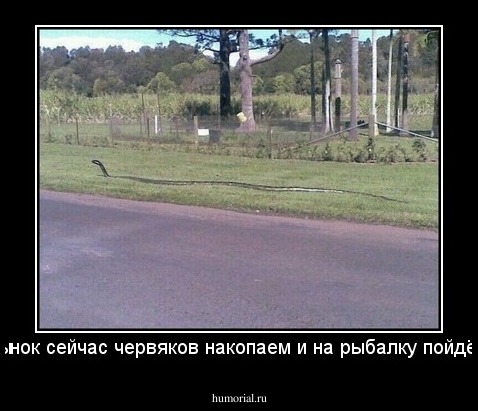 Сынок сейчас червяков накопаем и на рыбалку пойдём!