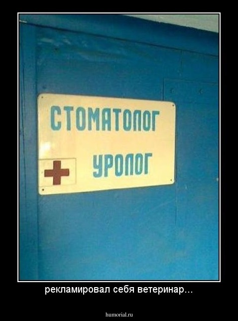 рекламировал себя ветеринар...