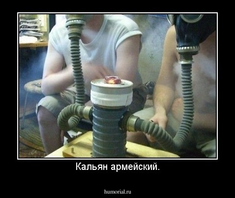 Кальян армейский.