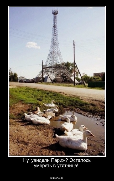 Ну,  увидели Париж? Осталось умереть в утятнице!