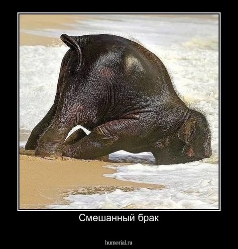 Смешанный брак