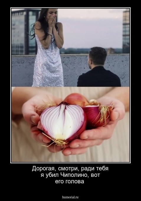 Дорогая, смотри, ради тебя я убил Чиполино, вот его голова 