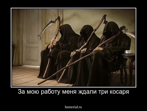 За мою работу меня ждали три косаря