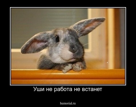 Уши не работа не встанет