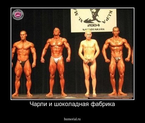 Чарли и шоколадная фабрика