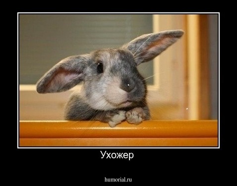 Ухожер 