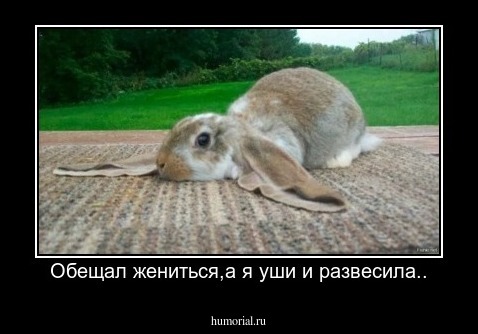 Обещал жениться,а я уши и развесила..