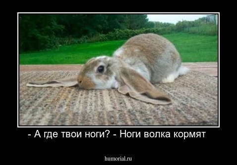 - А где твои ноги? - Ноги волка кормят 