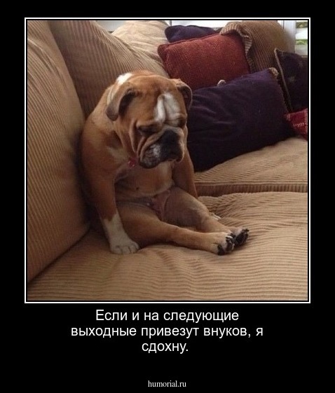 Если и на следующие выходные привезут внуков, я сдохну.