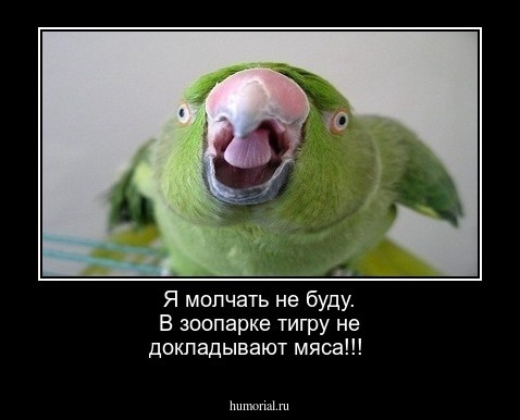 Я молчать не буду. В зоопарке тигру  не докладывают мяса!!!