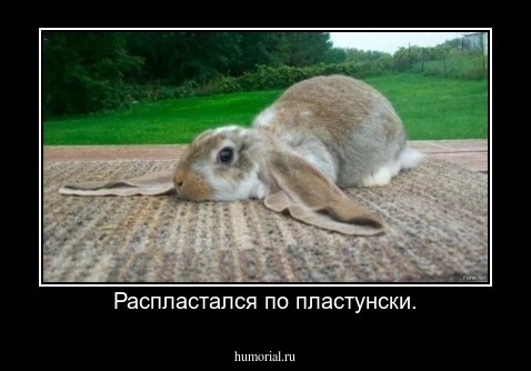 Распластался по пластунски.