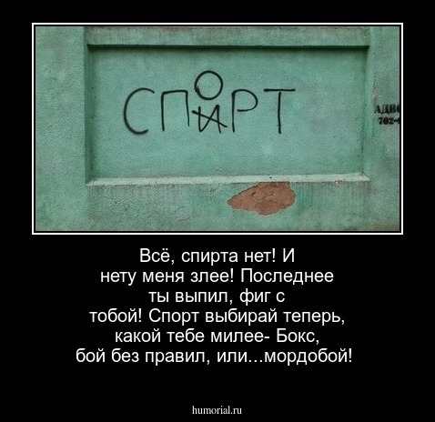 Всё, спирта нет! И нету меня злее!
Последнее ты выпил, фиг с тобой!
Спорт выбирай теперь, какой тебе милее-
Бокс, бой без правил, или...мордобой!